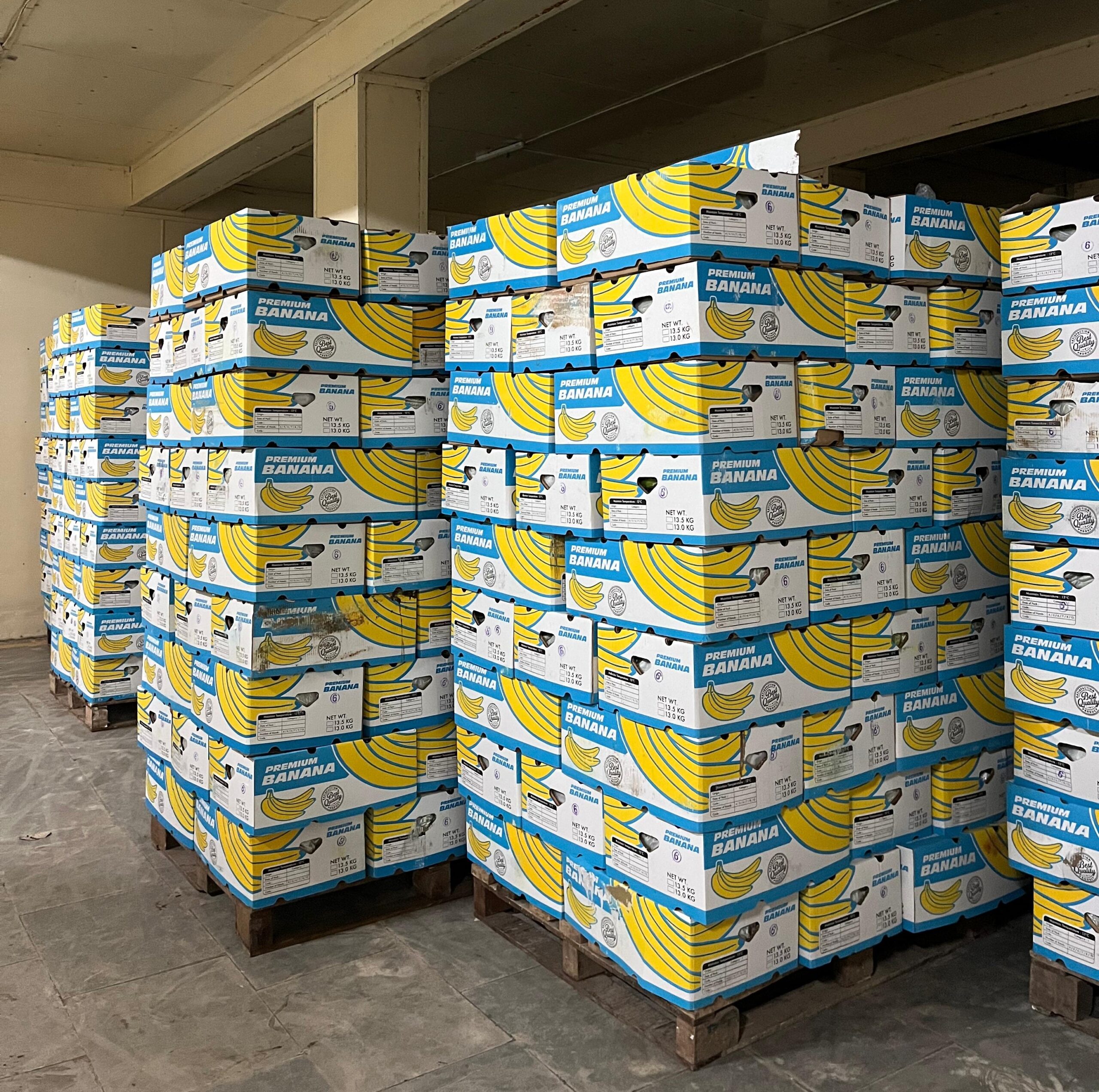 Premium banana export packaging — Triune Trades direct sourcing