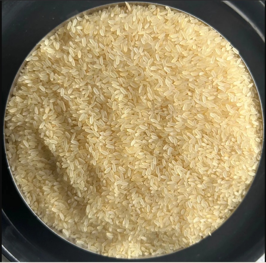 IR64 Parboiled Rice