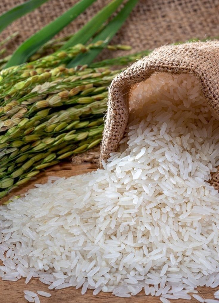 Basmati rice quality check by Triune Trades before packing for UAE and Saudi Arabia
